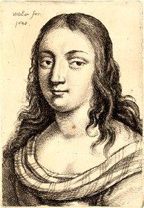 Wenceslas Hollar - Woman with striped shoulder wrap