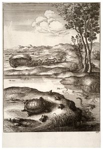 Wenceslas Hollar - The tortoise and the frogs 2