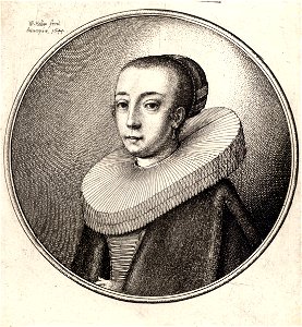 Wenceslas Hollar - Woman with a pleated double ruff