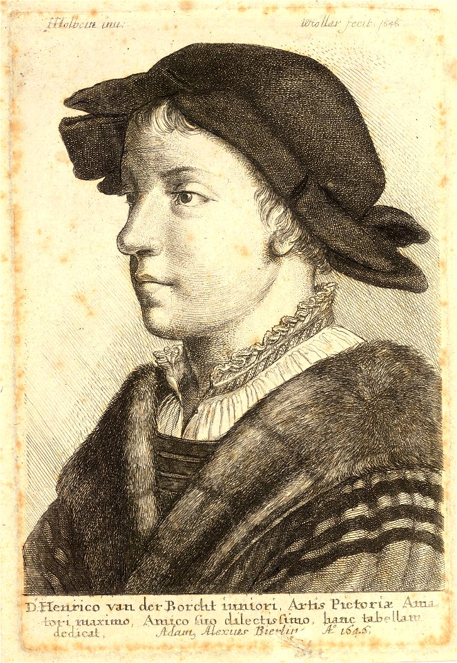 Wenceslas Hollar - Young Man, after Holbein