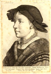 Wenceslas Hollar - Young Man, after Holbein
