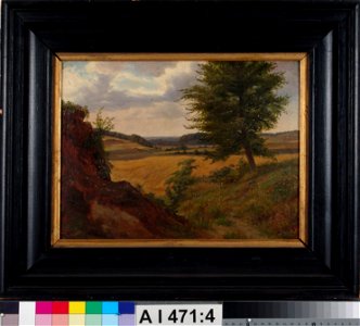 Werner Holmberg - Tree in Field Landscape, Study - A I 471-4 - Finnish National Gallery