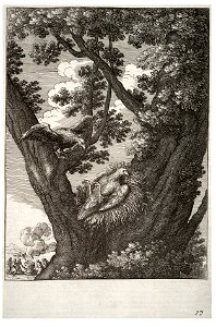 Wenceslas Hollar - The sick kite and its mother 2