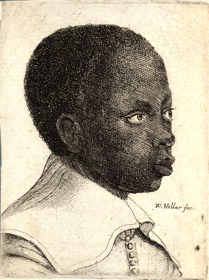 Wenceslas Hollar - Young Negro (State 2)