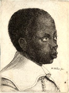 Wenceslas Hollar - Young Negro (State 2)