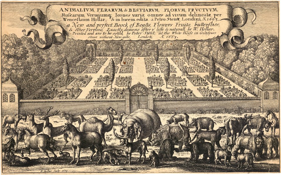 Wenceslas Hollar - Title page (State 1)