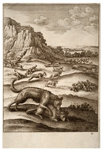 Wenceslas Hollar - The wolves and the sheep 2. Free illustration for personal and commercial use.