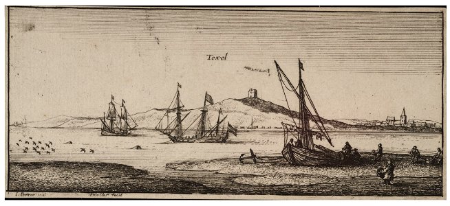 Wenceslas Hollar - Texel