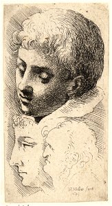 Wenceslas Hollar - Three heads