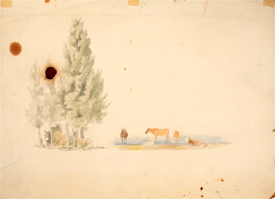 Werner Holmberg - Kaksi harjoitelmaa, Puuryhmä sekä viisi lehmää rannalla - A I 472-45 - Finnish National Gallery