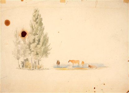 Werner Holmberg - Kaksi harjoitelmaa, Puuryhmä sekä viisi lehmää rannalla - A I 472-45 - Finnish National Gallery