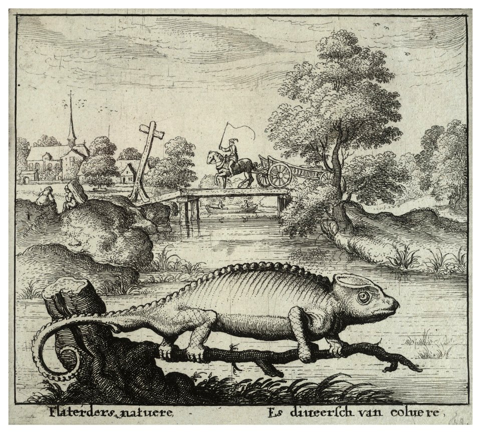 Wenceslas Hollar - The chameleon. Free illustration for personal and commercial use.