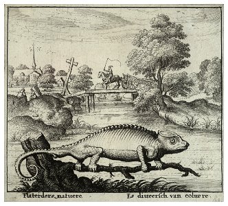 Wenceslas Hollar - The chameleon. Free illustration for personal and commercial use.