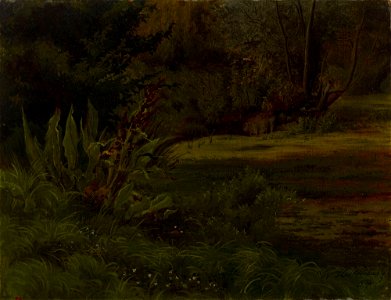 Werner Holmberg - Lampi metsässä, harjoitelma - A I 471-20 - Finnish National Gallery