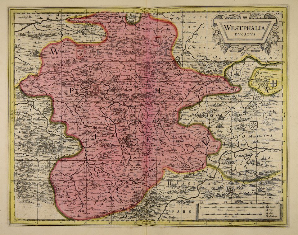 Westphalia ducatus - CBT 5873879
