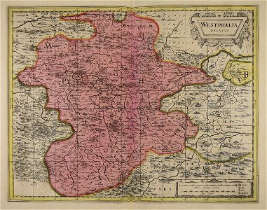 Westphalia ducatus - CBT 5873879