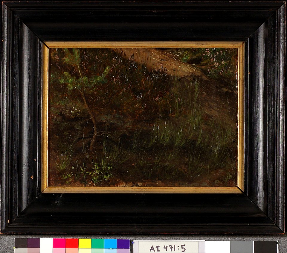 Werner Holmberg - Hiekkamaata, harjoitelma - A I 471-5 - Finnish National Gallery
