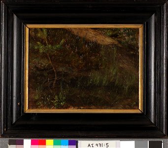 Werner Holmberg - Hiekkamaata, harjoitelma - A I 471-5 - Finnish National Gallery