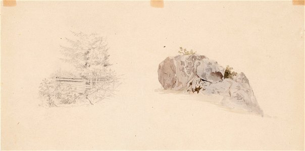 Werner Holmberg - Kaksi harjoitelmaa, vasemmalla kuusi aidan vieressä, oikealla kivilohkare - A I 472-13 - Finnish National Gallery