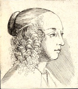 Wenceslas Hollar - Young woman with side curls. Free illustration for personal and commercial use.