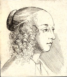 Wenceslas Hollar - Young woman with side curls
