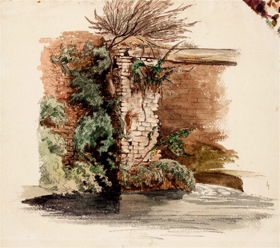 Werner Holmberg - Tiilimuuri ja köynnöskasvi - A I 470-34 - Finnish National Gallery