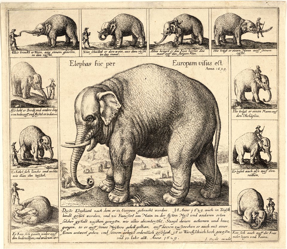 Wenceslas Hollar - The tame elephant