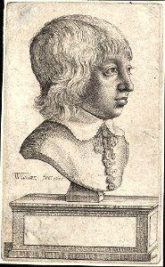 Wenceslas Hollar - Young man. Free illustration for personal and commercial use.