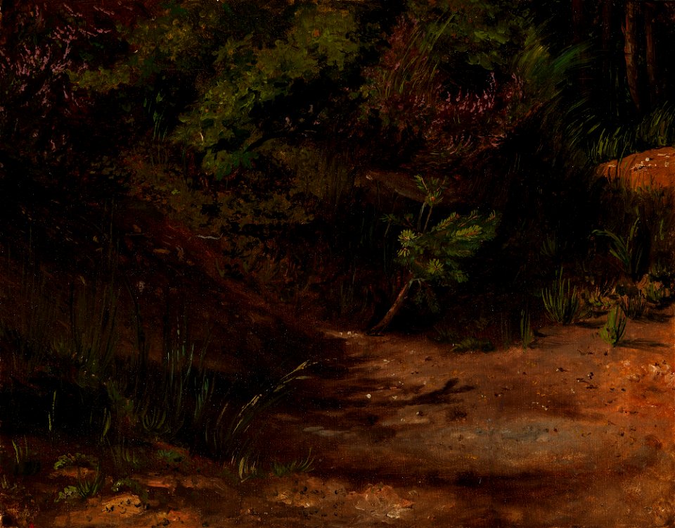 Werner Holmberg - Hiekkamaata, harjoitelma - A I 471-6 - Finnish National Gallery