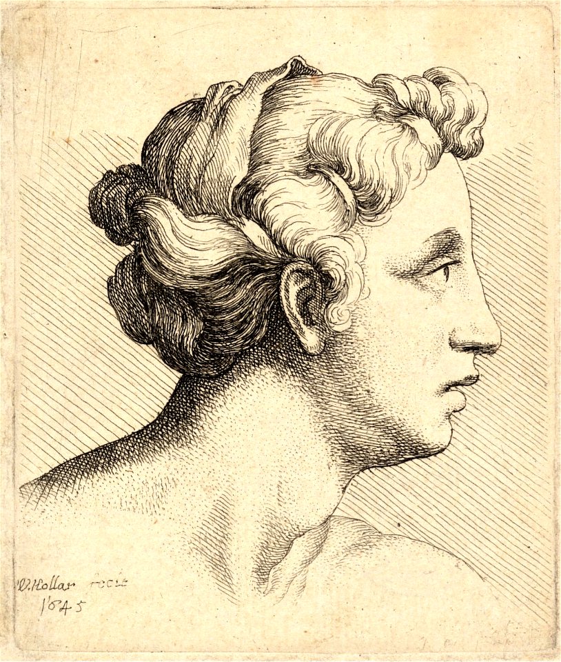 Wenceslas Hollar - Woman with a bound tress of hair