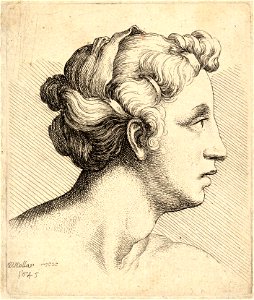 Wenceslas Hollar - Woman with a bound tress of hair