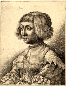 Wenceslas Hollar - Young woman with rosettes on her sleeves (State 1). Free illustration for personal and commercial use.