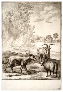 Wenceslas Hollar - The wolf and the lamb (State 2). Free illustration for personal and commercial use.