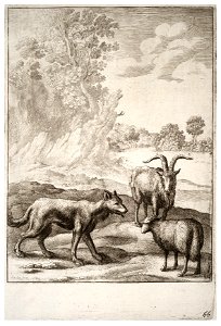 Wenceslas Hollar - The wolf and the lamb (State 2)