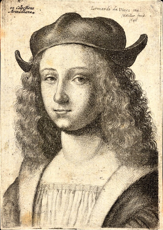 Wenceslas Hollar - Youth with long wavy hair and cap (State 2)