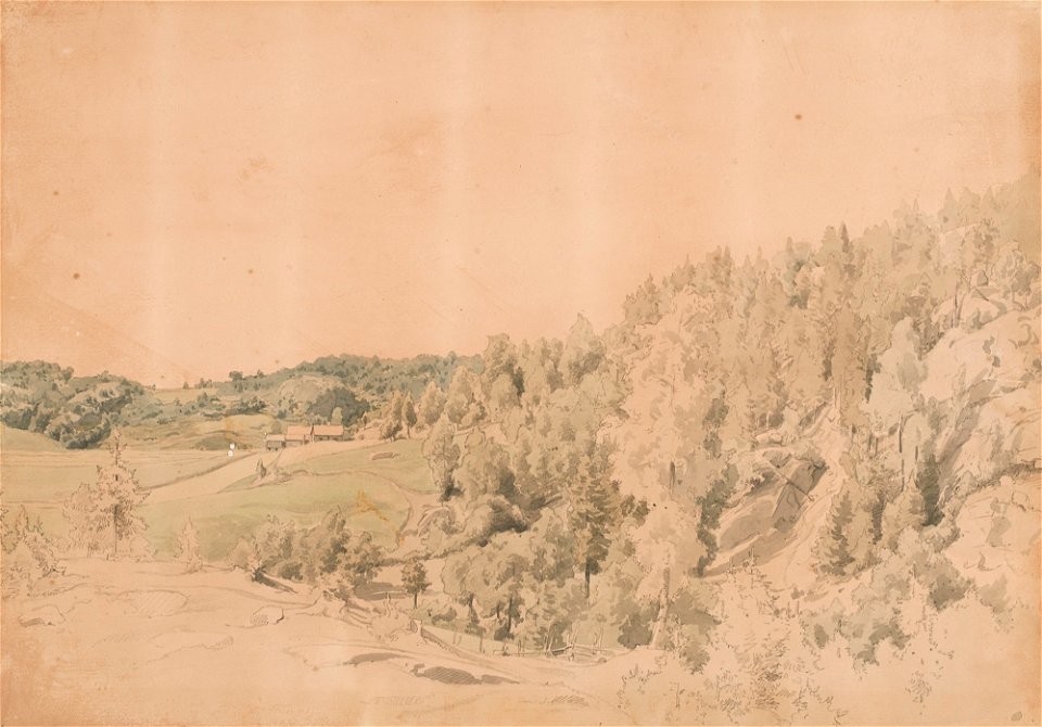 Werner Holmberg - Metsäinen vuori, niittyjä ja maalaistalo - A I 470-122 - Finnish National Gallery