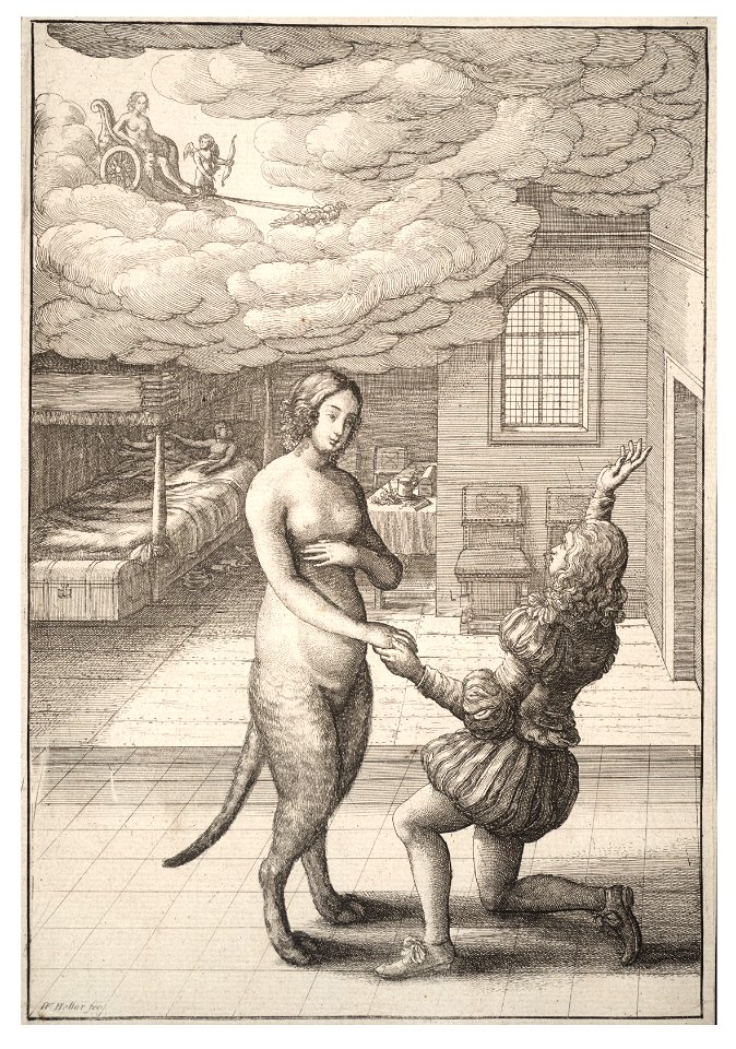 Wenceslas Hollar - The young man and the cat bride 2