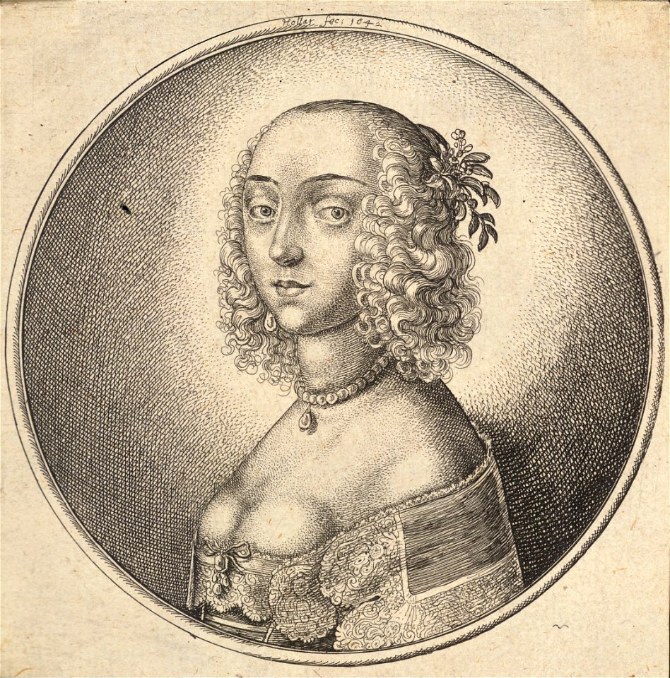 Wenceslas Hollar - Woman with curly hair drawn back