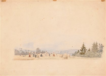Werner Holmberg - Elonkorjuu, harjoitelma Akaasta - A I 472-16 - Finnish National Gallery