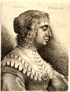 Wenceslas Hollar - Young woman with scalloped collar, after Bijert (State 1). Free illustration for personal and commercial use.