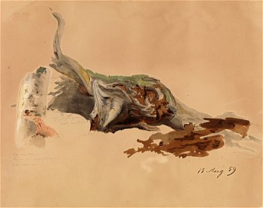 Werner Holmberg - Kaksi puunrunkotutkielmaa , Istuva nainen metsä taustanaan (kaksipuolinen teos) - A I 470-154 - Finnish National Gallery