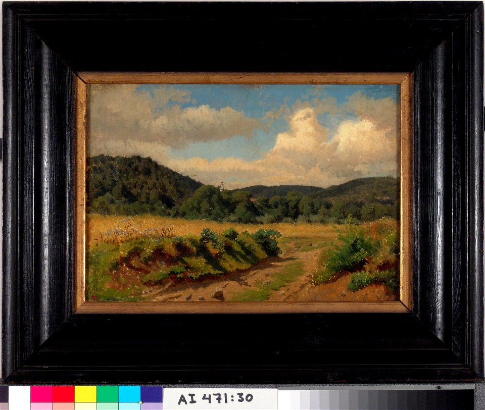 Werner Holmberg - Viljapelto metsän reunassa, harjoitelma - A I 471-30 - Finnish National Gallery