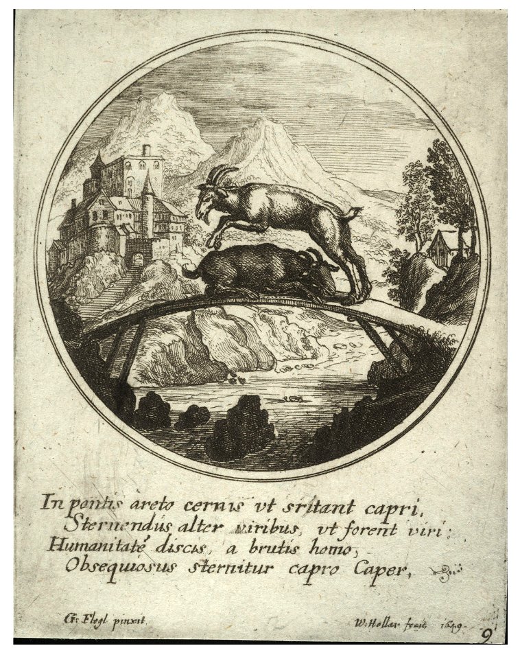 Wenceslas Hollar - Two goats, after Flegl