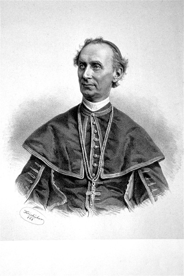 Wenzel Zoic Litho