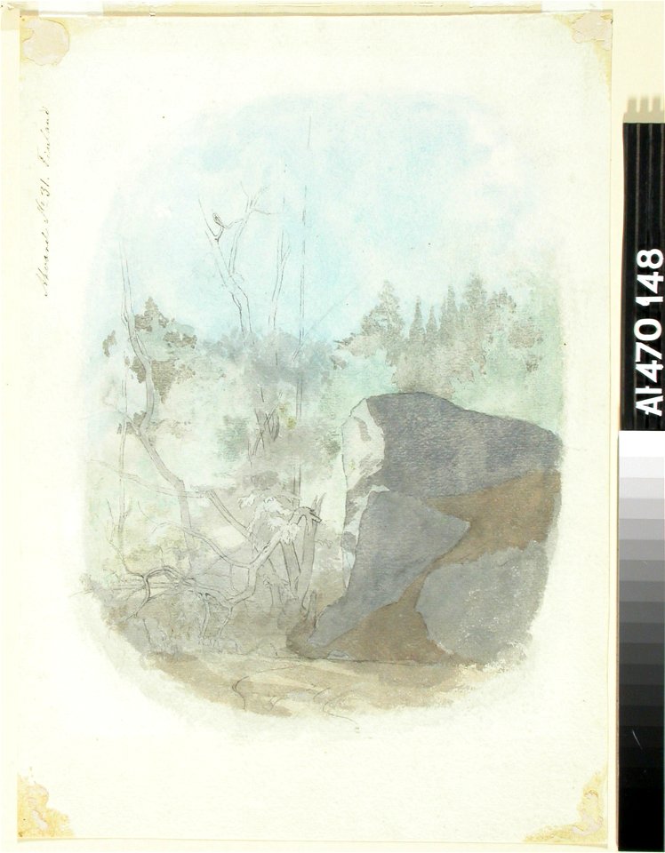 Werner Holmberg - Metsänsisusta ja harjoitelma puiden rungoista , Metsänsisusta, edessä oikealla iso kivi (kaksipuolinen teos) - A I 470-148 - Finnish National Gallery