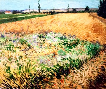 Wheat Field with the Alpilles Foothills in the Background - My Dream. Free illustration for personal and commercial use.