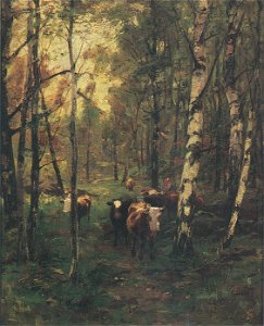 Westerholm Kor i björkskogen