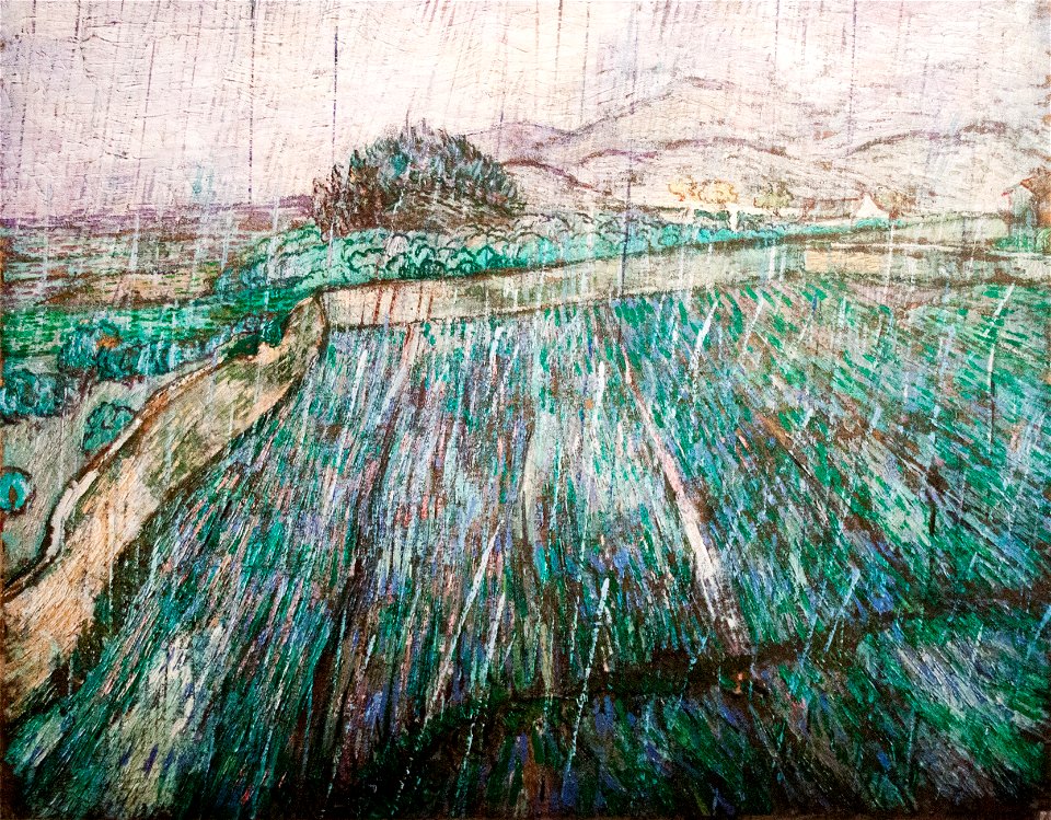 Wheat Field in Rain - My Dream