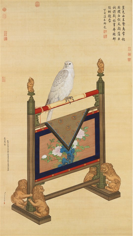 White Falcon by Giuseppe Castiglione