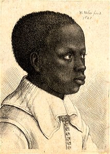 Wenceslas Hollar - Young Negro. Free illustration for personal and commercial use.